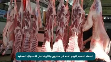 أسعار اللحوم اليوم الأحد في مطروح وتأثيرها على الأسواق المحلية